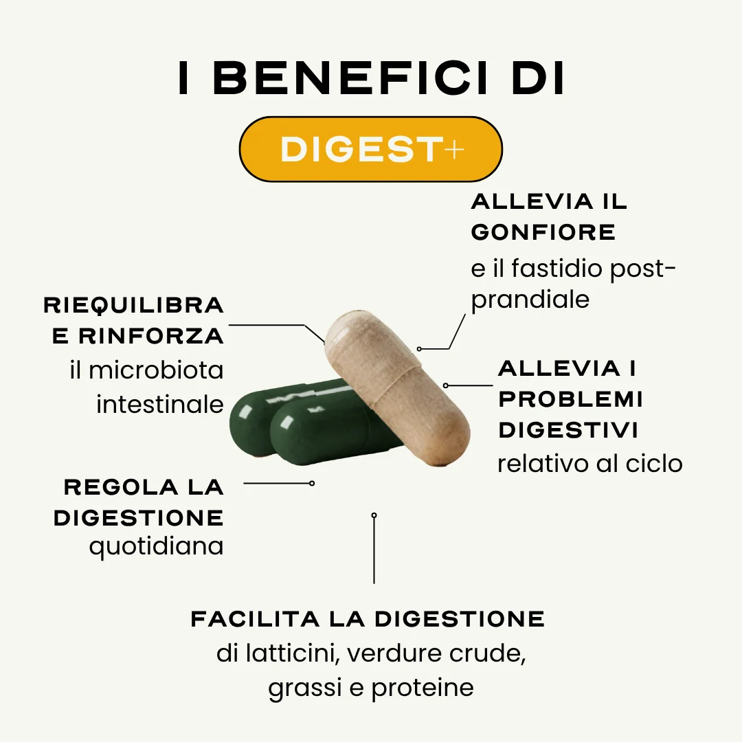 5-DAY DIGEST ➕. - Image 3