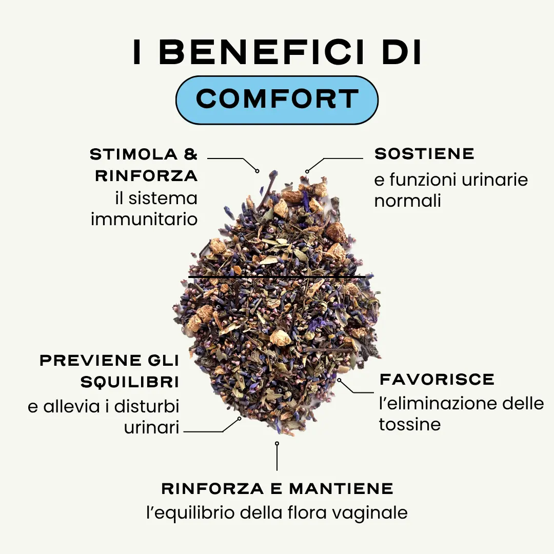 COMFORT. - Image 2