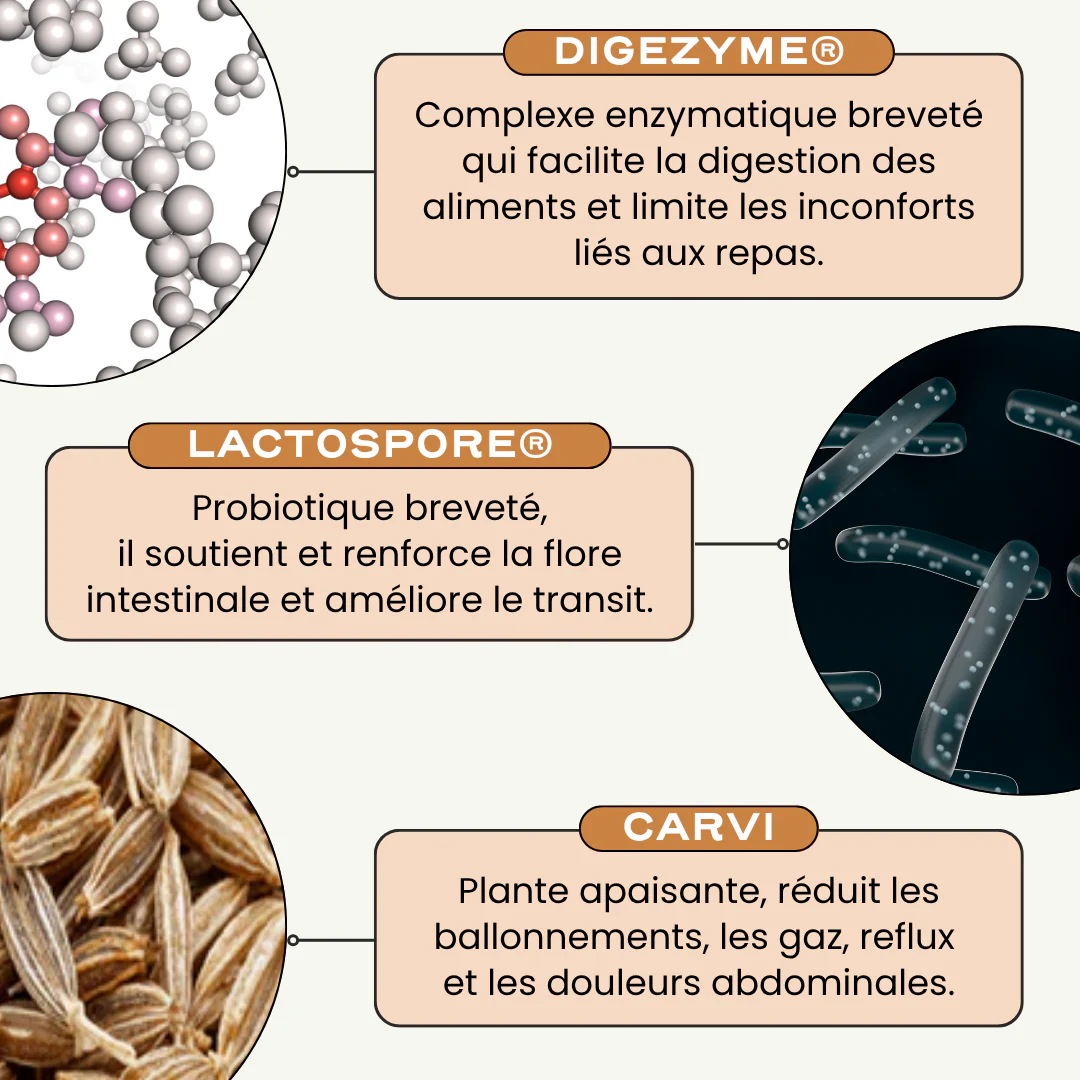 DIGEST - Image 5