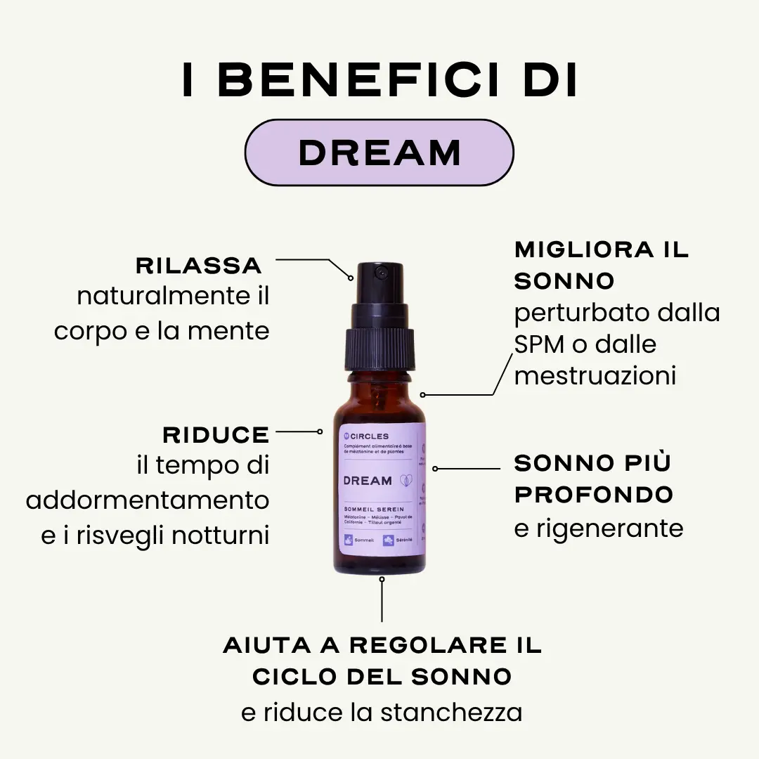 DREAM. - Image 3