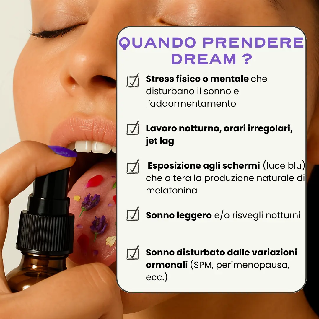 DREAM. - Image 5