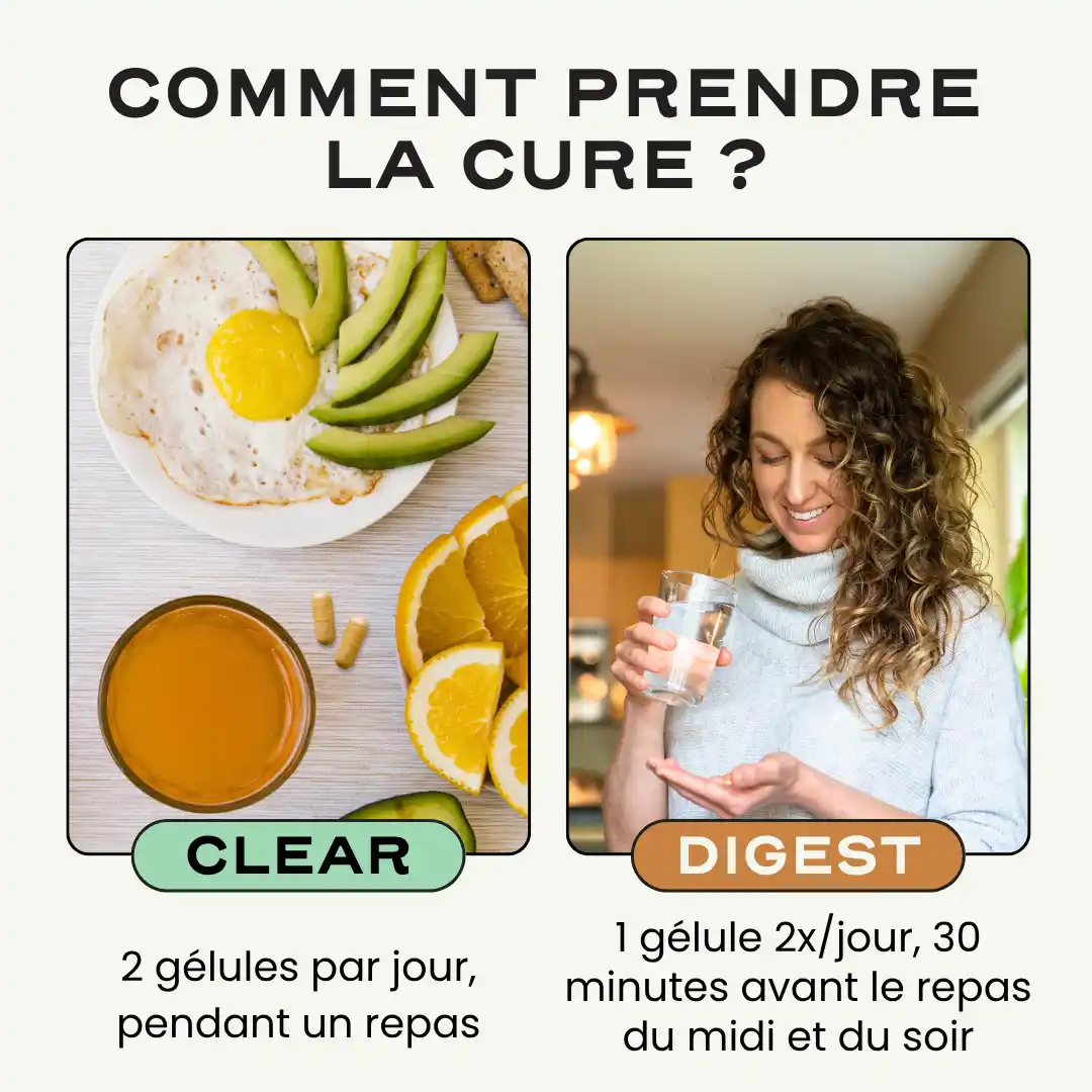 Duo Équilibre Peau & Digestion - Image 7