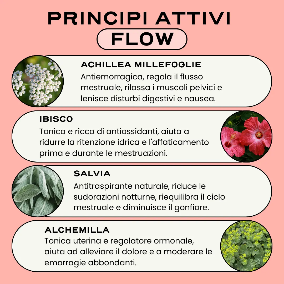 Duo Riequilibrio & Flow. - Image 4