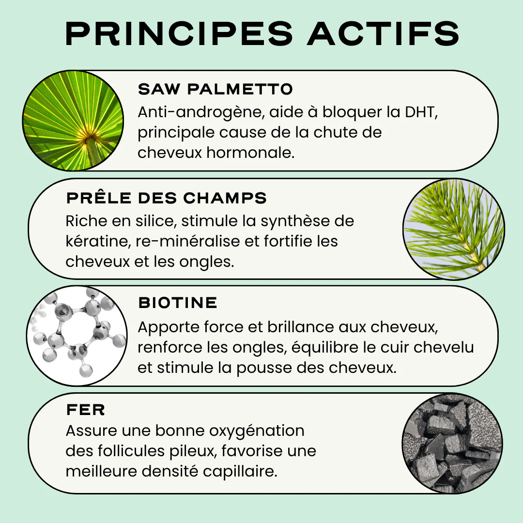 GROW - Image 5