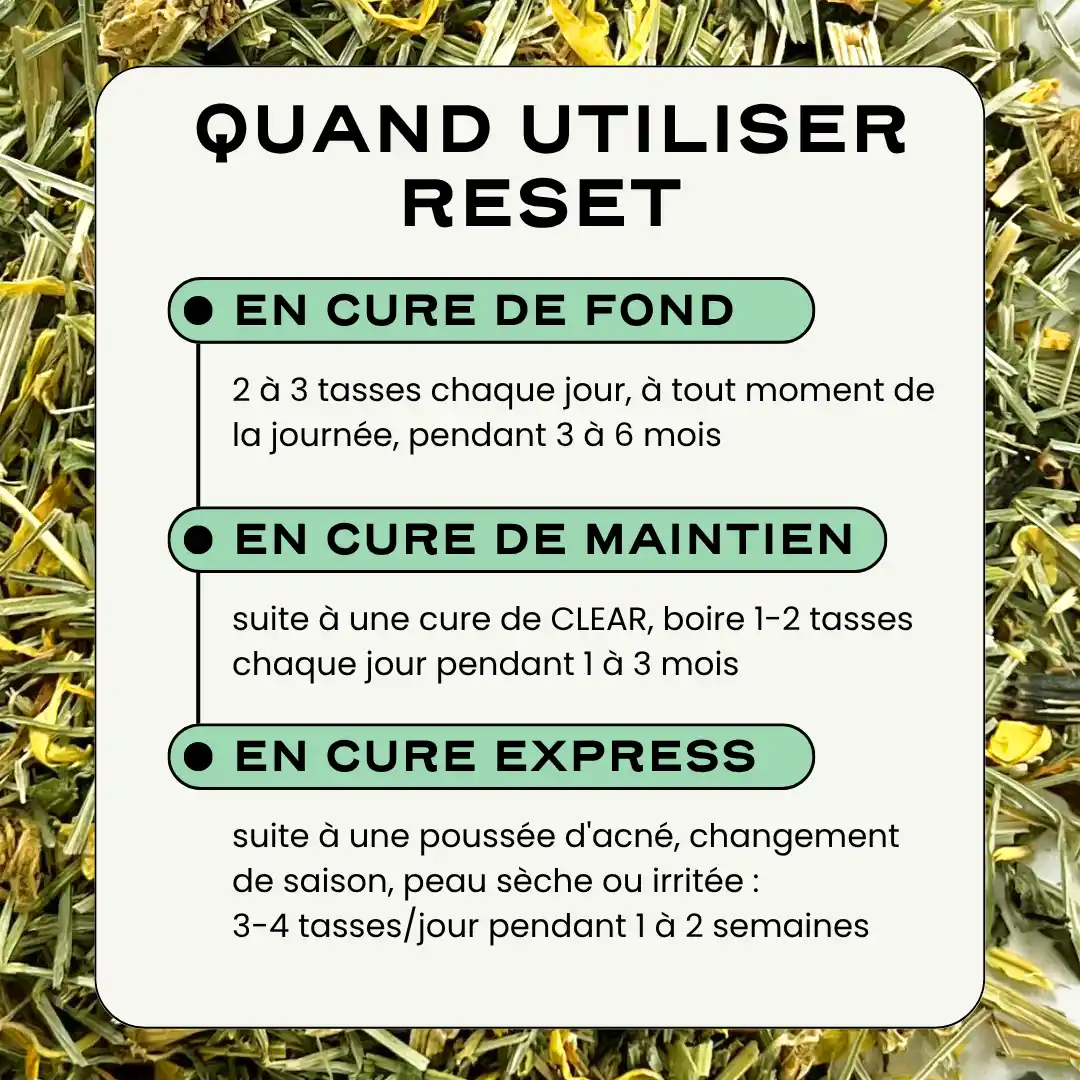 RESET - Image 7