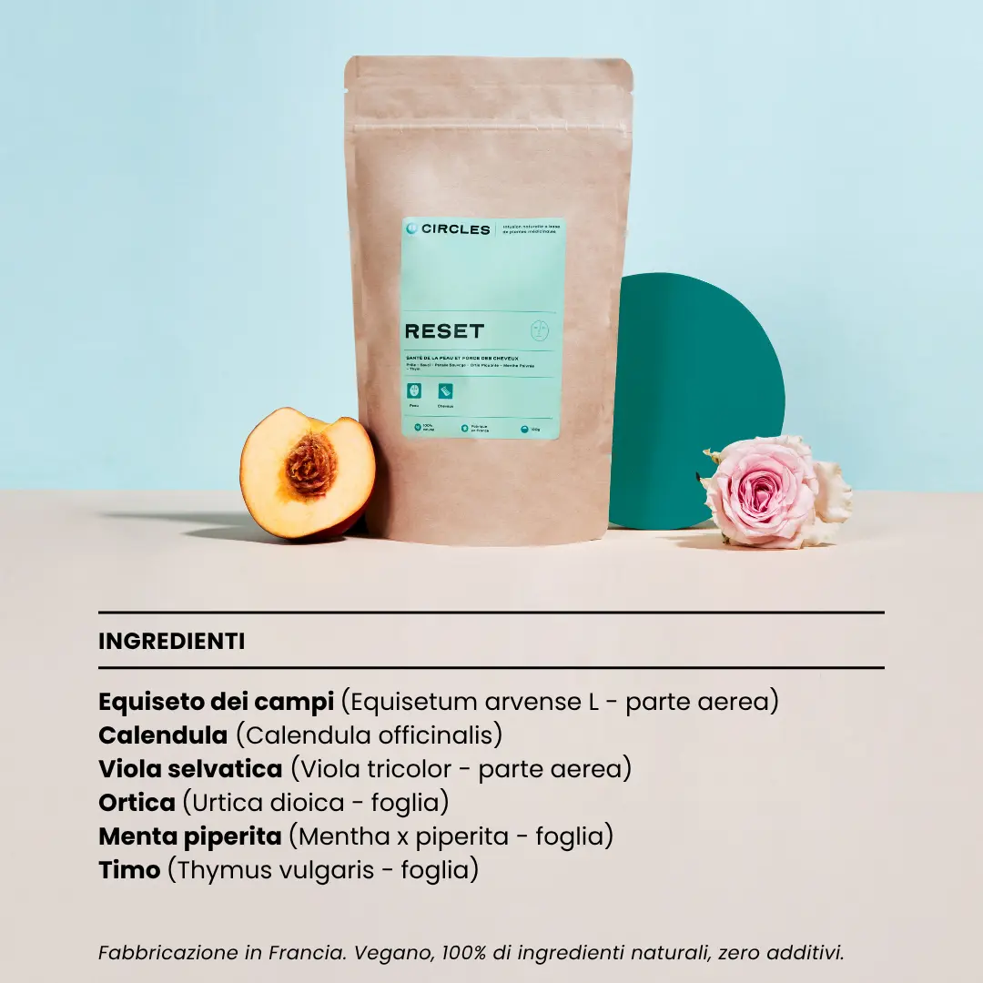 RESET. - Image 12