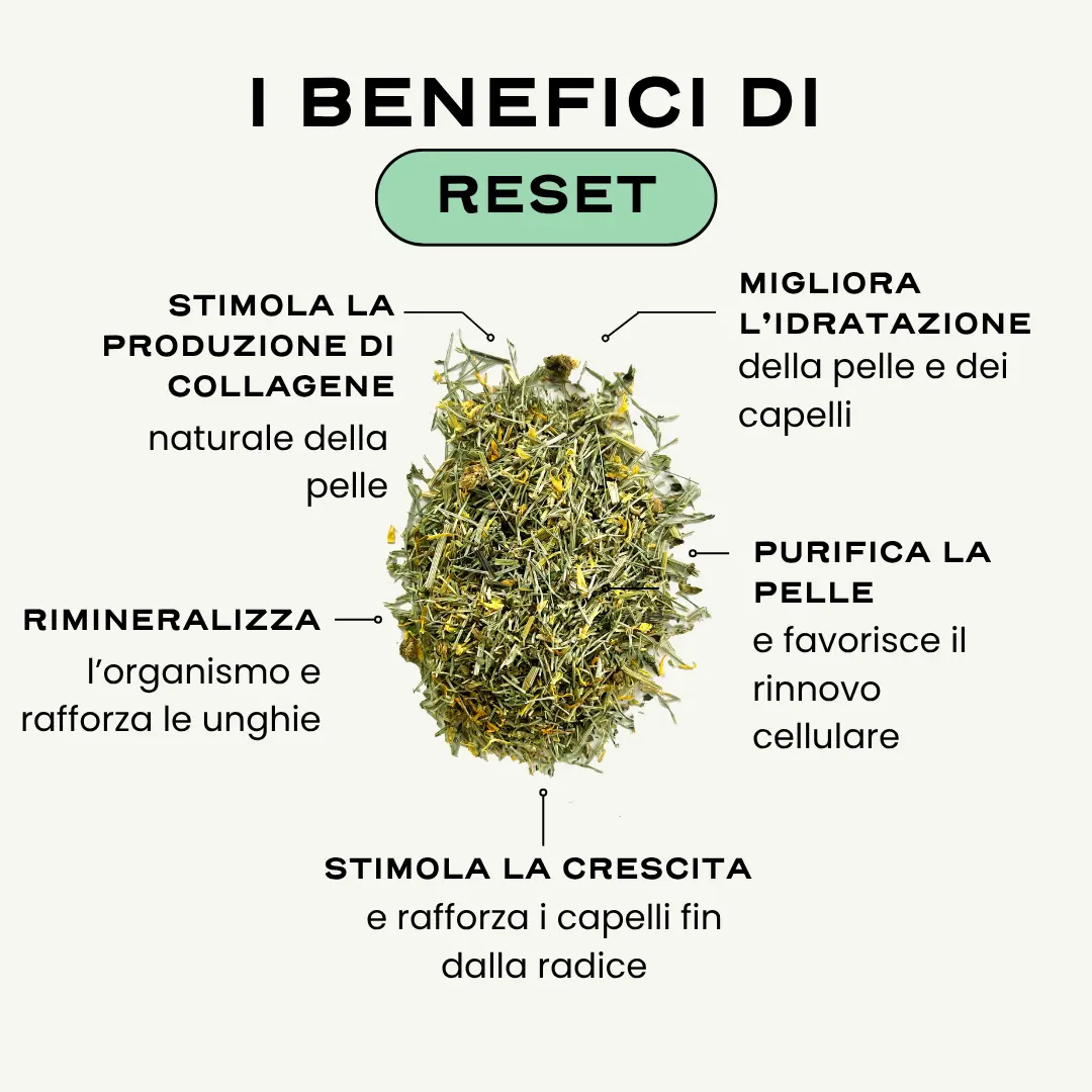 RESET. - Image 2