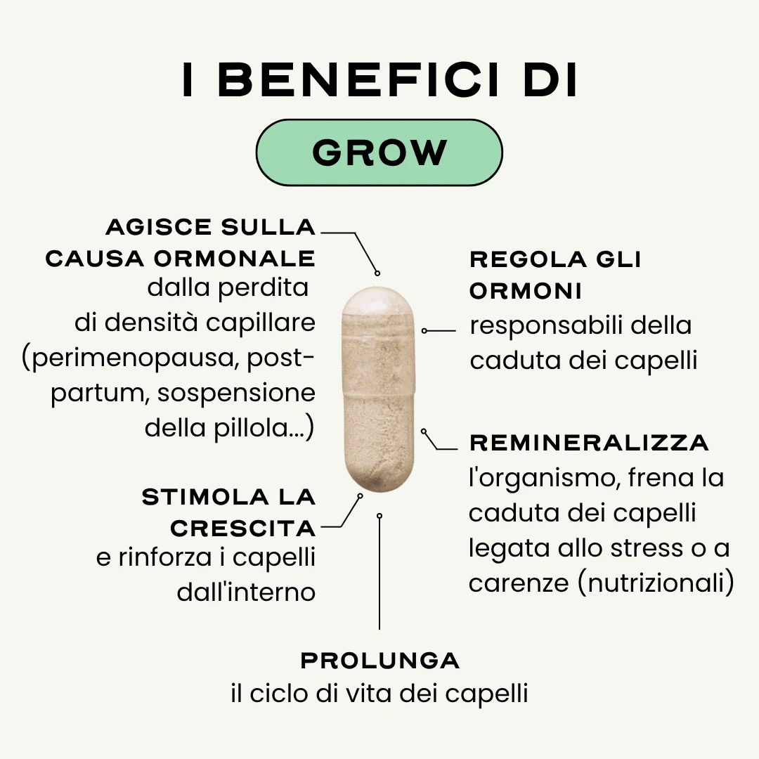 GROW. - Image 3