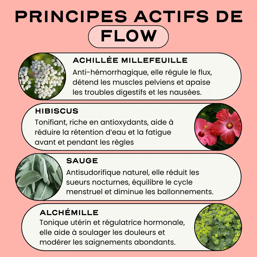 Duo Rééquilibrage & Flow - Image 7